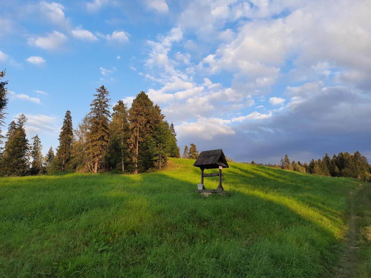 Domek Na Szlaku Rikardo Ponice المظهر الخارجي الصورة