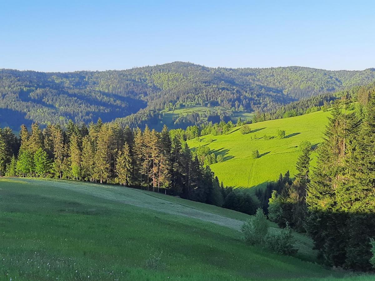 Domek Na Szlaku Rikardo Ponice المظهر الخارجي الصورة